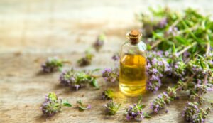 Essential oil of thyme in a bottle. Selective focus. Spa.