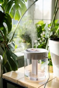 steam from the air humidifier during heating period, surrounded by houseplants. Plant care. Increasing moisture in the apartment.