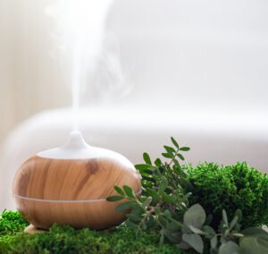 Modern Aromatic oil diffuser with fresh herbs . Clean and fragrant air at home.